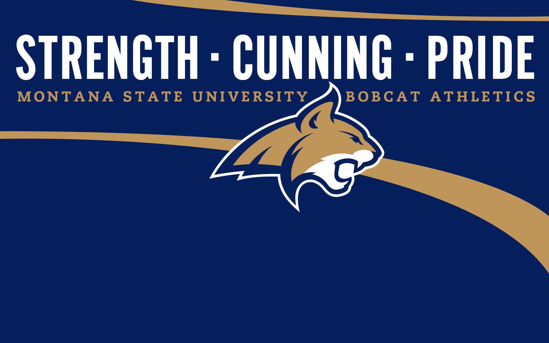 Blue Mountain State Wallpapers HD Wallpaper Cave