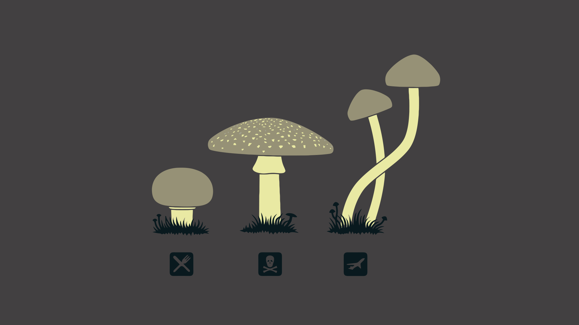 Mushroom Aesthetic Wallpapers Wallpaper Cave