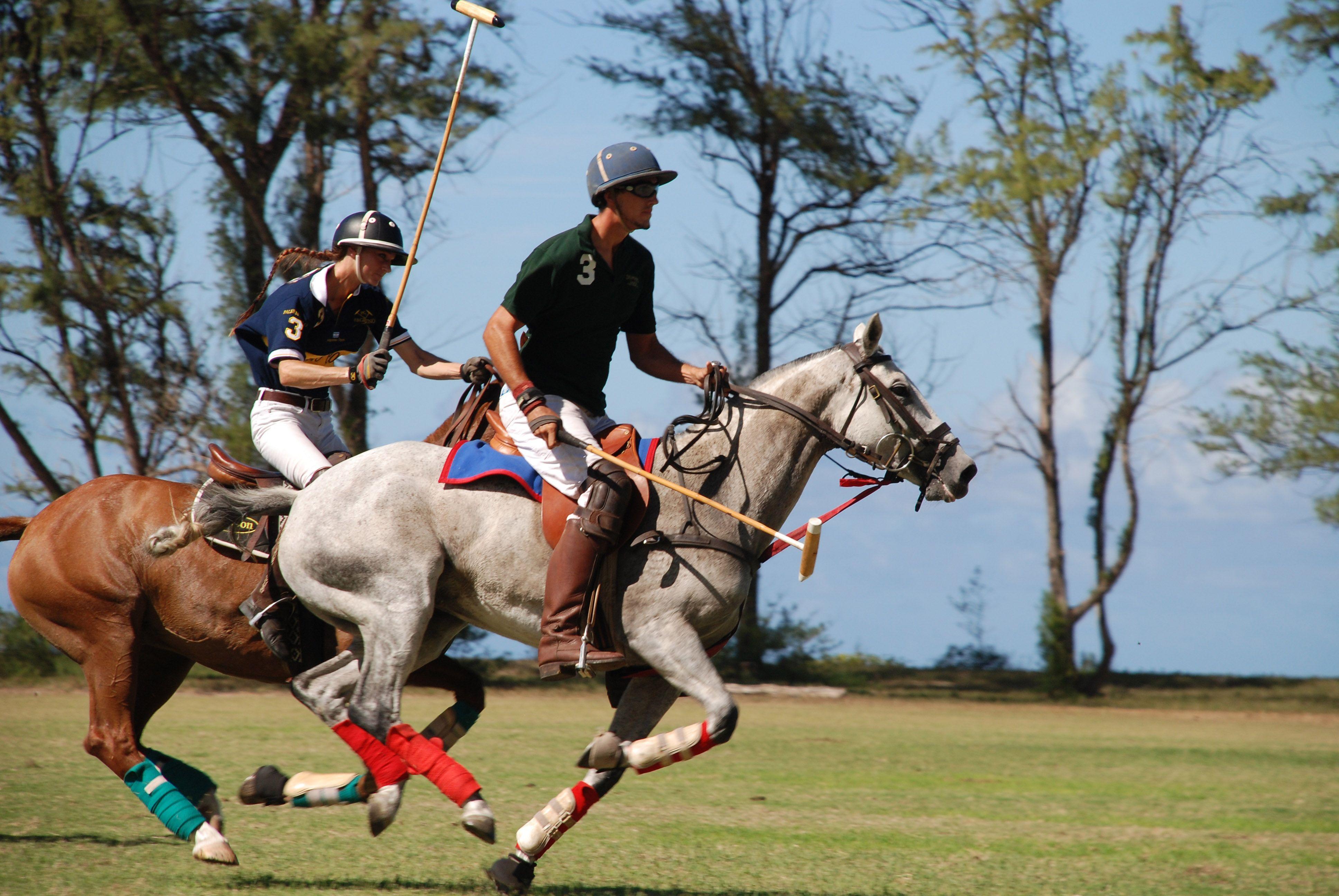 Horse Polo Wallpapers Wallpaper Cave