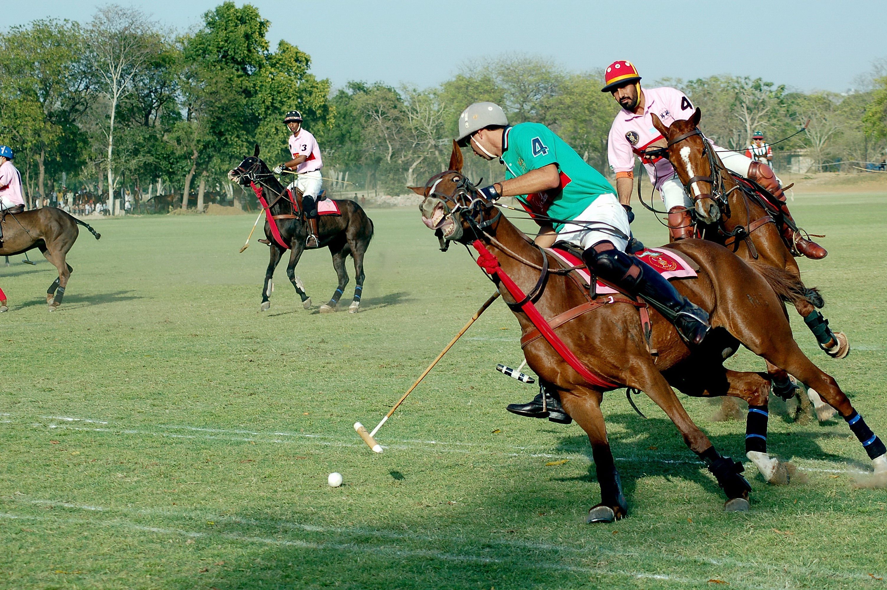 Horse Polo Wallpapers Wallpaper Cave
