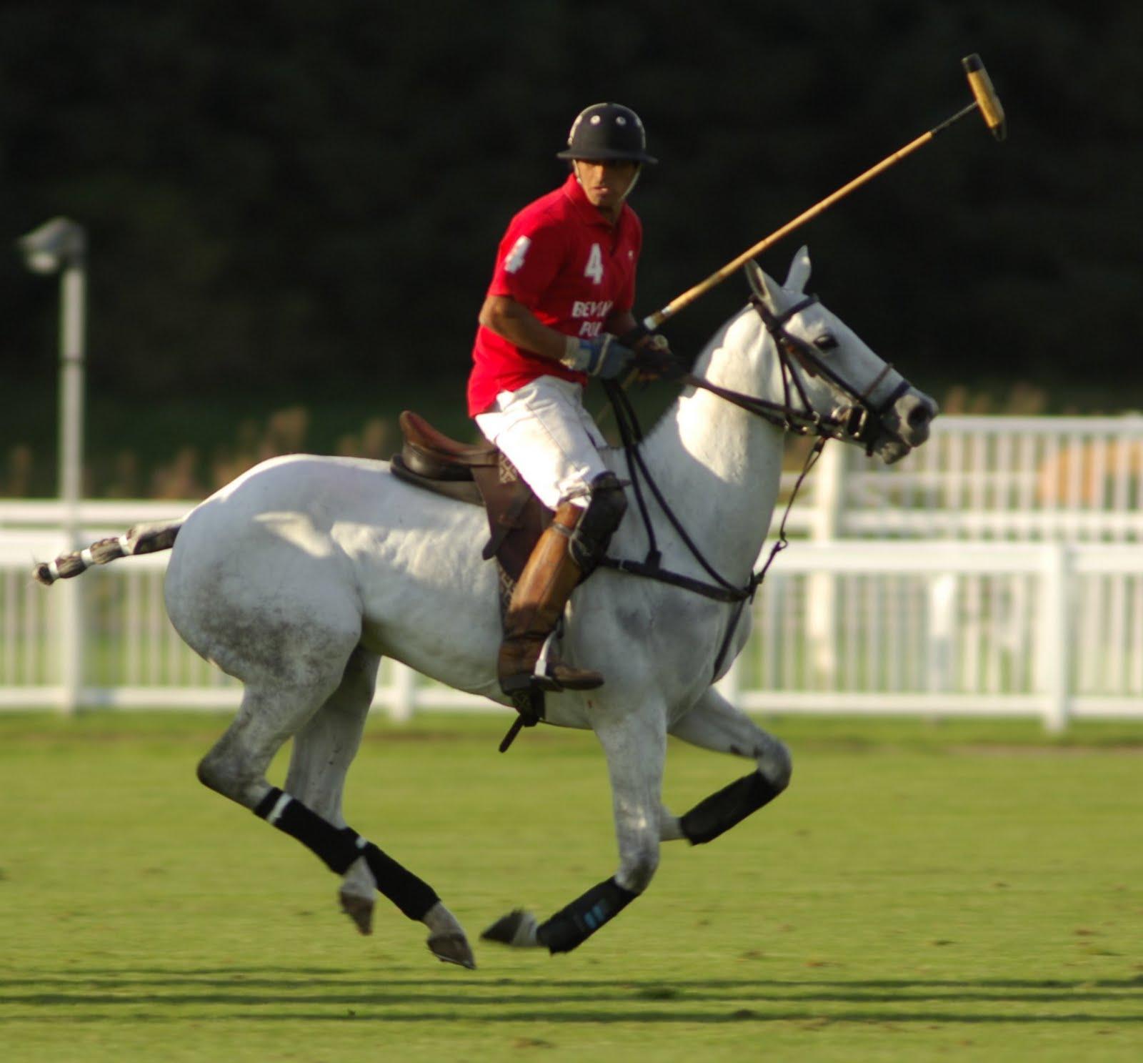 Horse Polo Wallpapers Wallpaper Cave