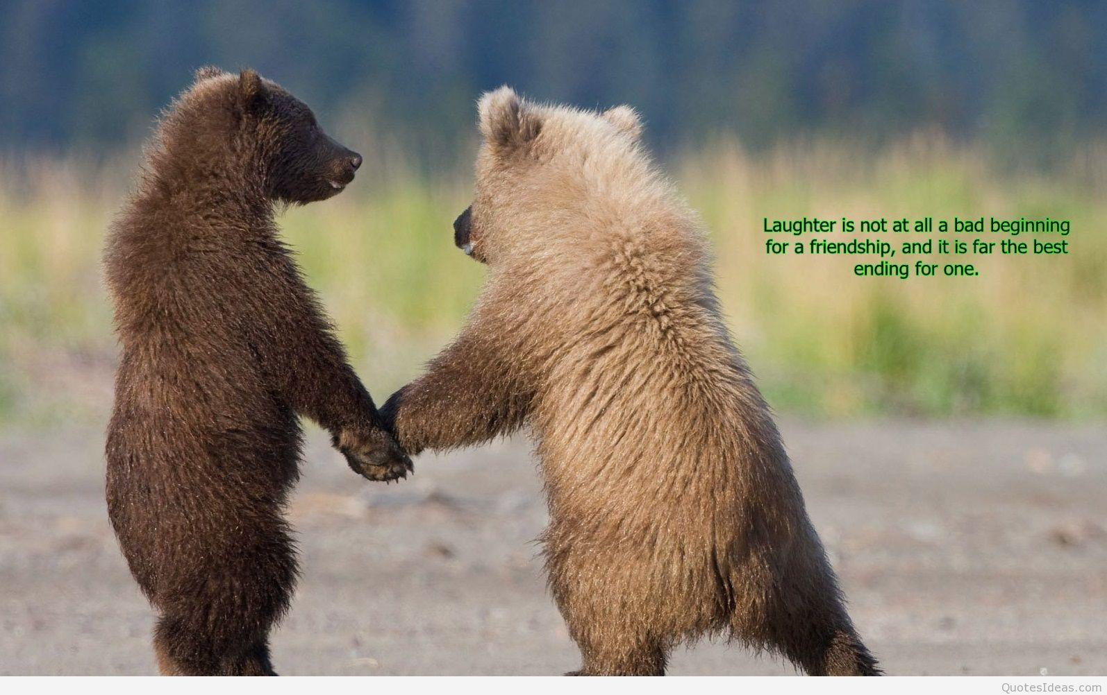 Discovery Channel Animals Wallpapers Wallpaper Cave