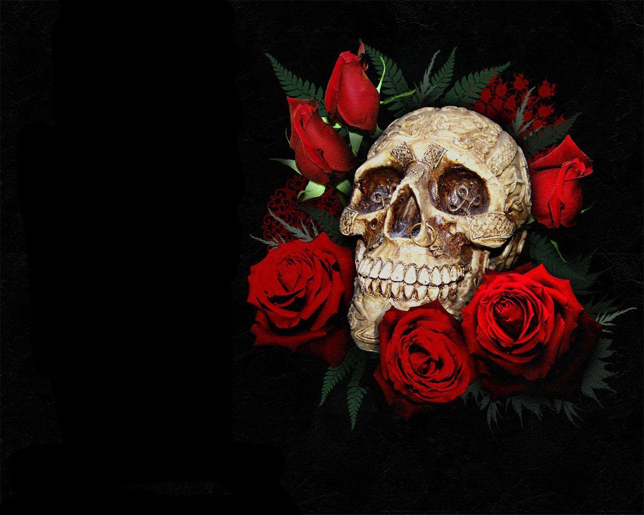 Skull And Roses Wallpapers Wallpaper Cave
