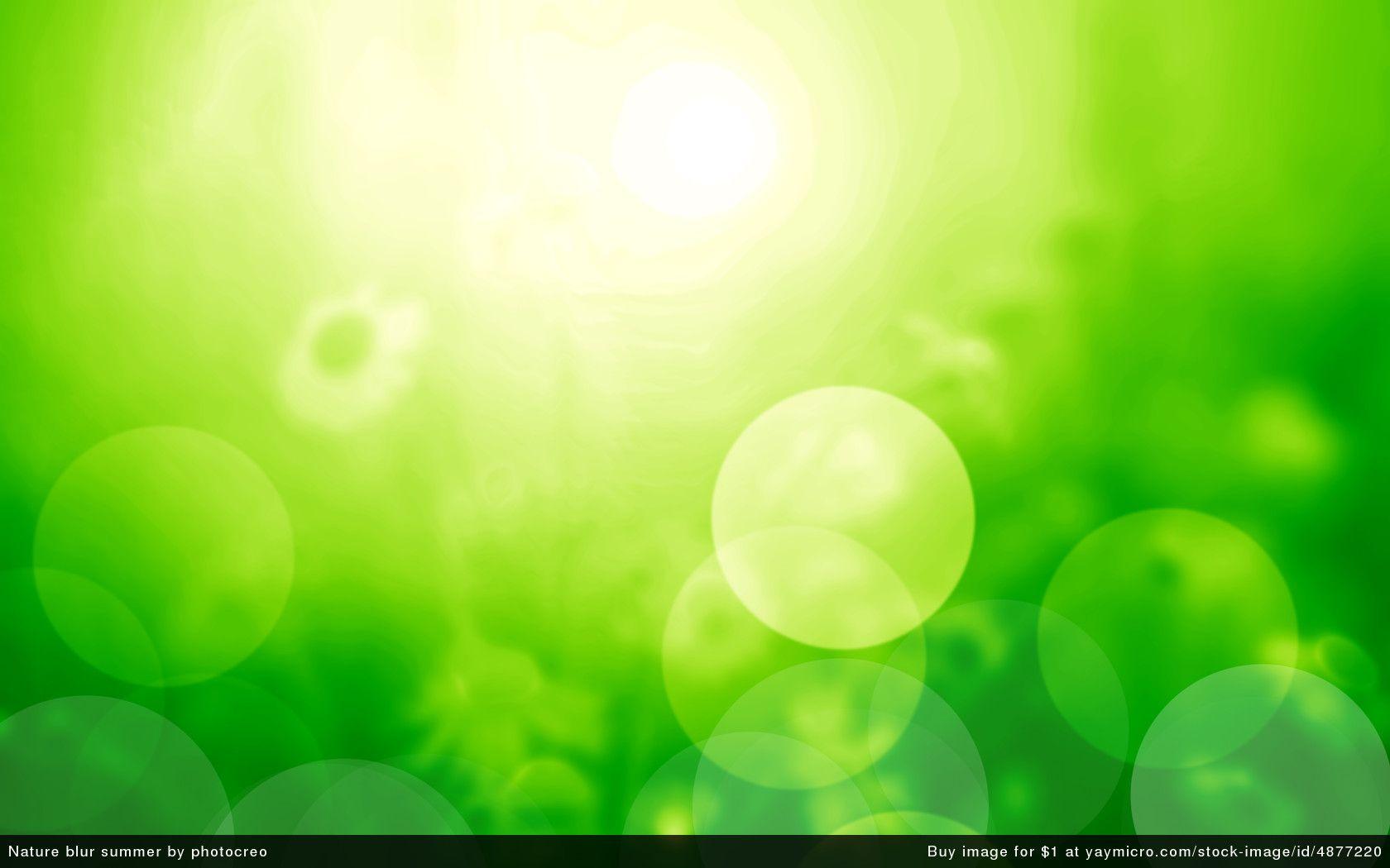 Green Summer Wallpapers Wallpaper Cave
