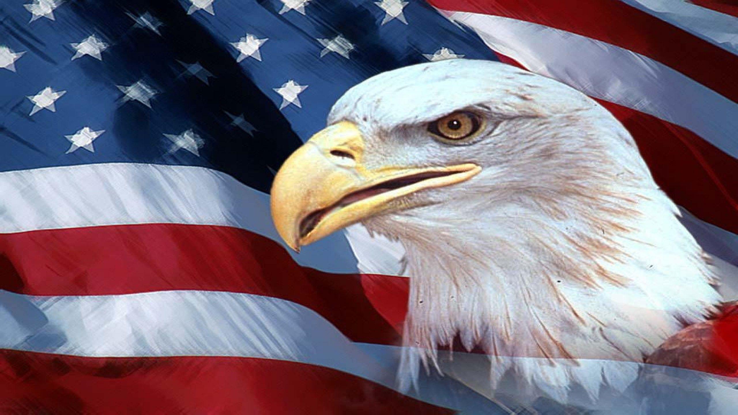 American Eagle Wallpapers Wallpaper Cave