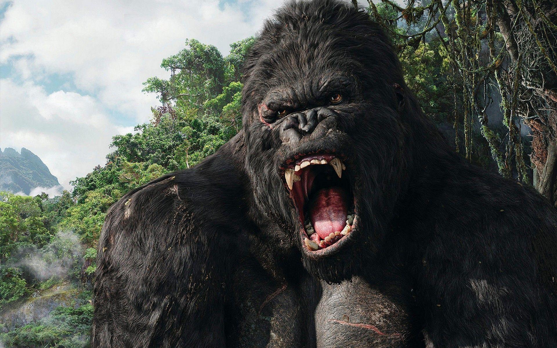 King Kong Wallpapers Wallpaper Cave