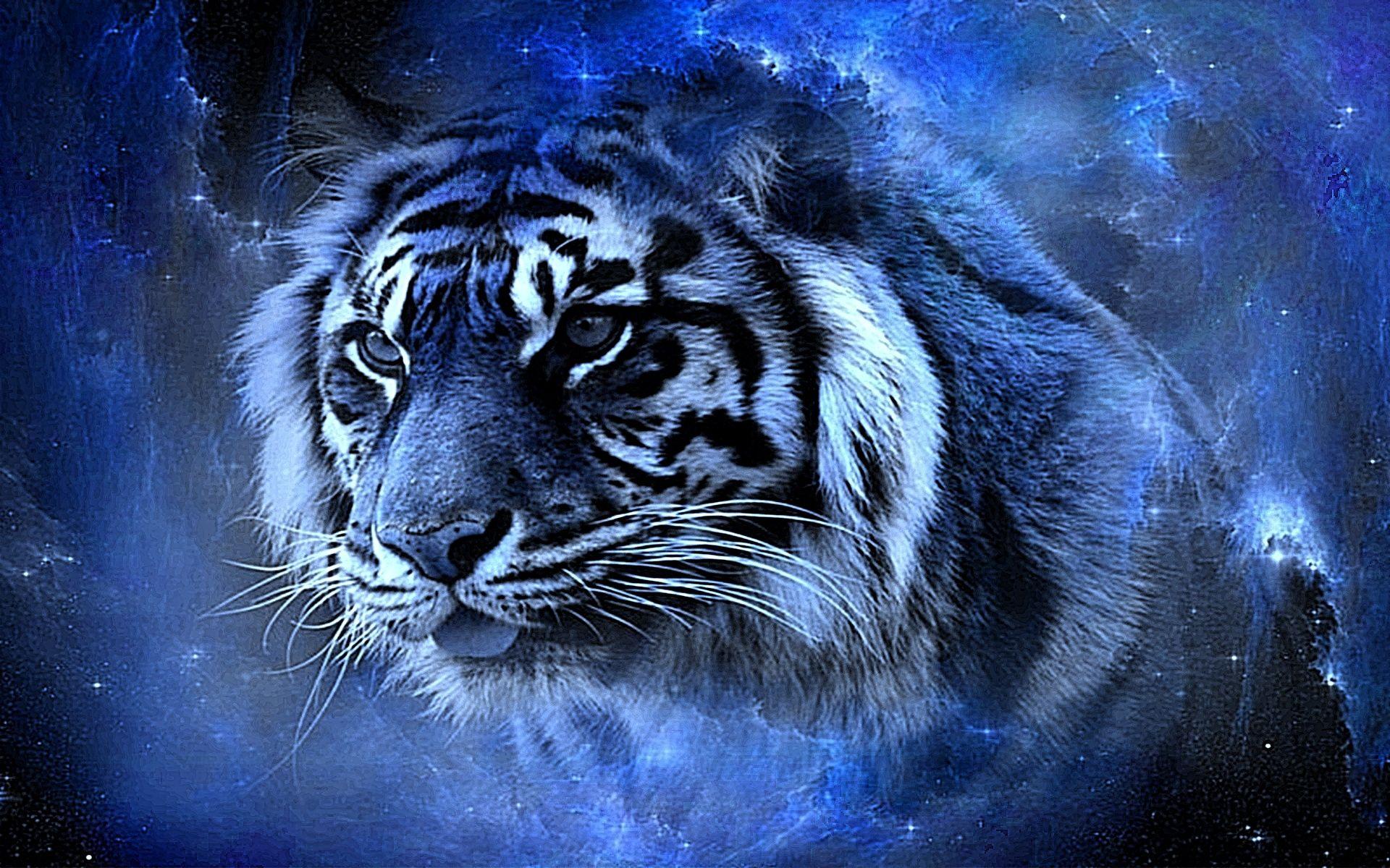 White Tiger With Blue Eyes Wallpapers 3d Wallpaper Cave