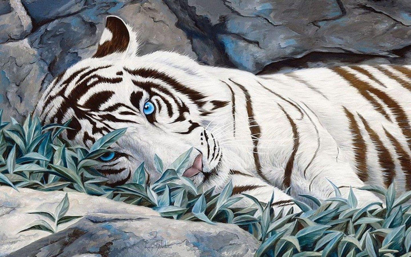 White Tiger With Blue Eyes Wallpapers 3d Wallpaper Cave