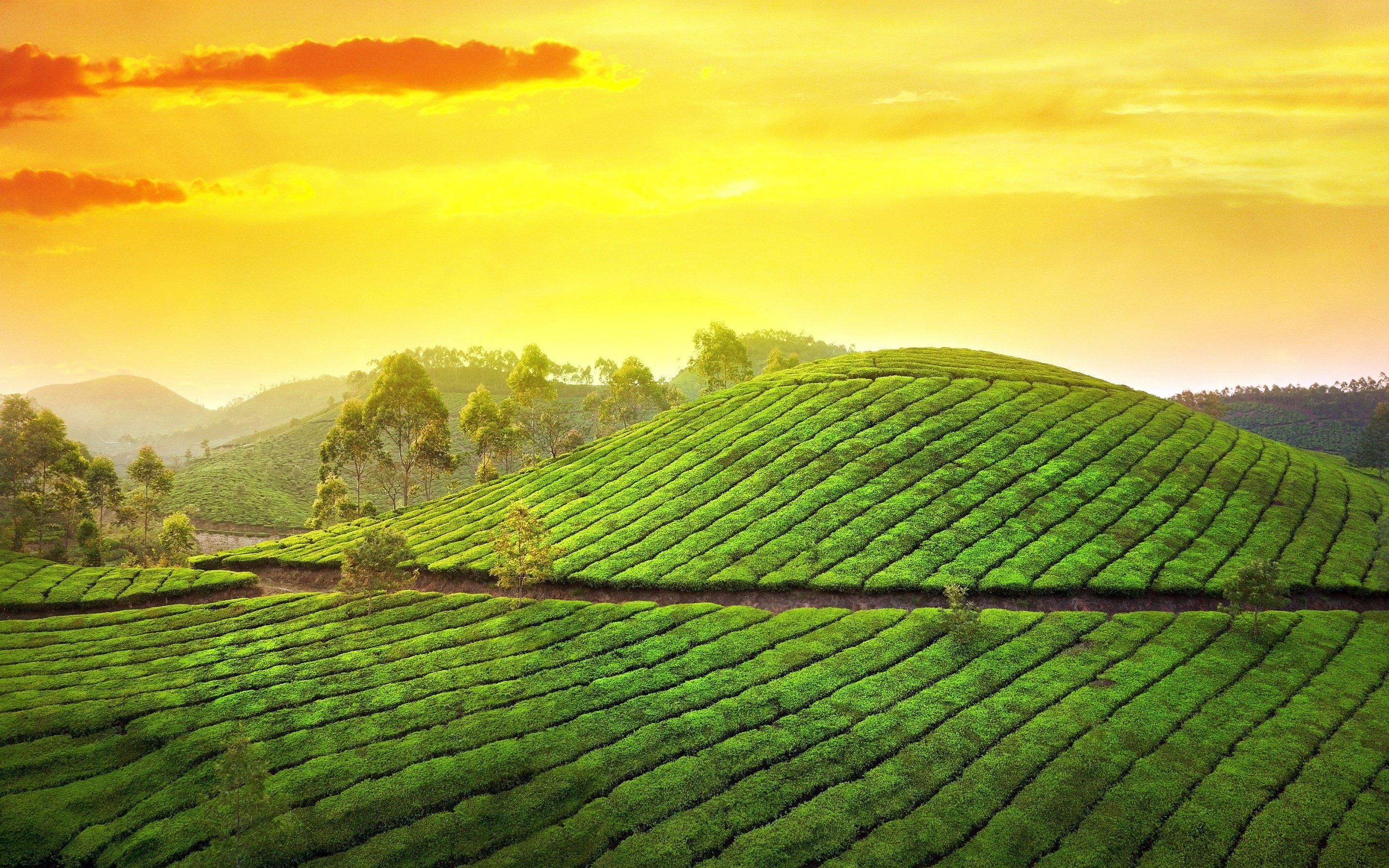 Kerala HD Wallpapers Wallpaper Cave