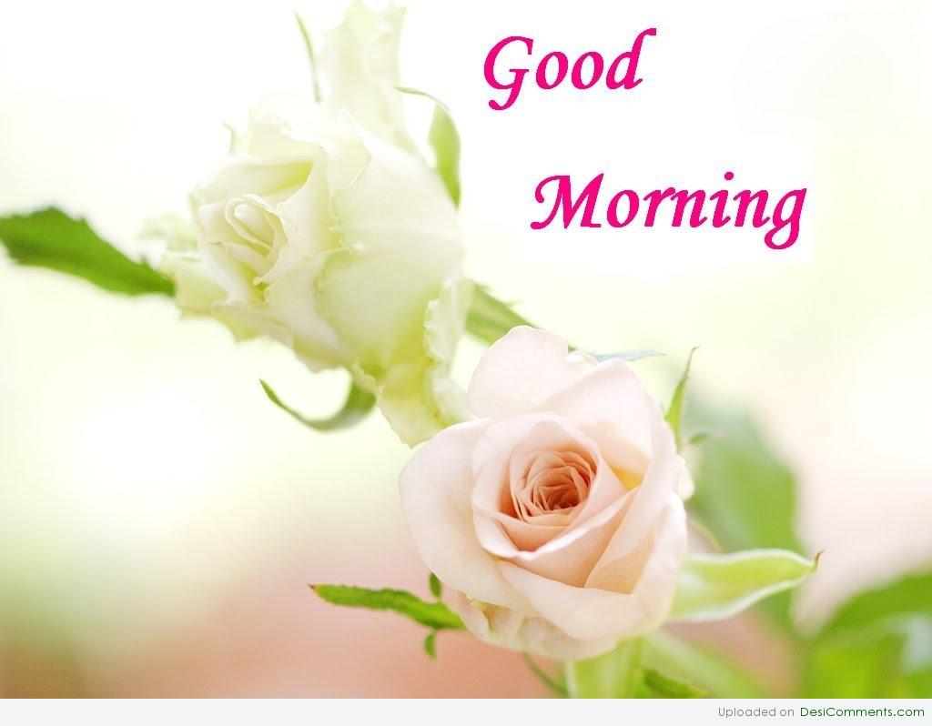 Good Morning Friends Wallpapers For Facebook Wallpaper Cave