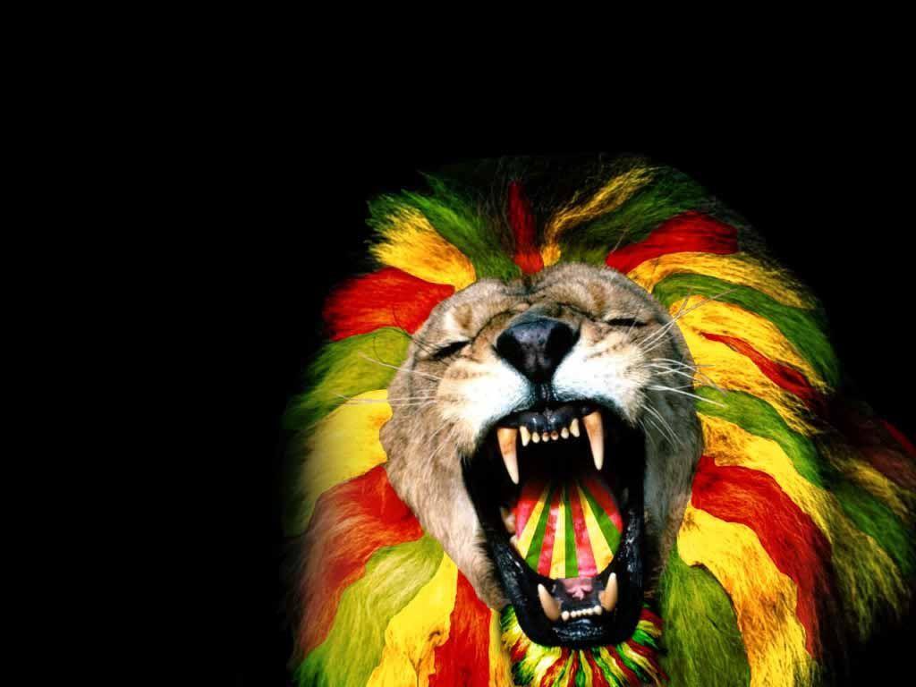 Rasta Lion Wallpapers HD Wallpaper Cave
