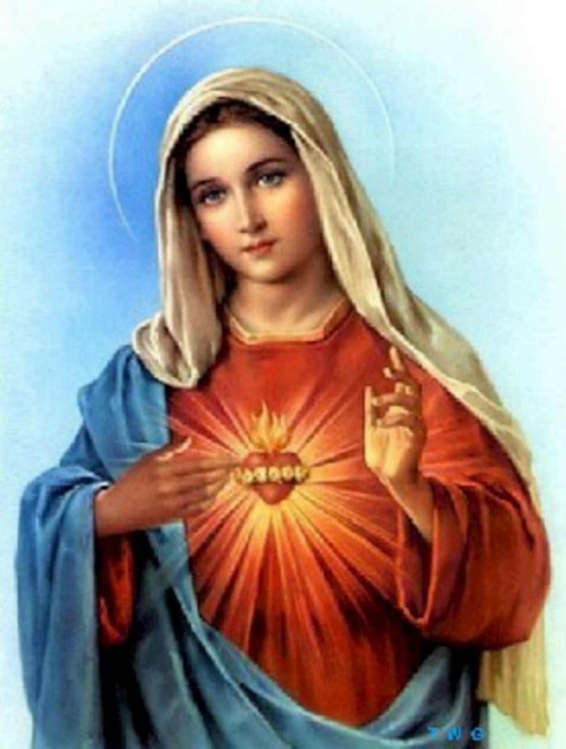 Immaculate Heart Of Mary Wallpapers Wallpaper Cave