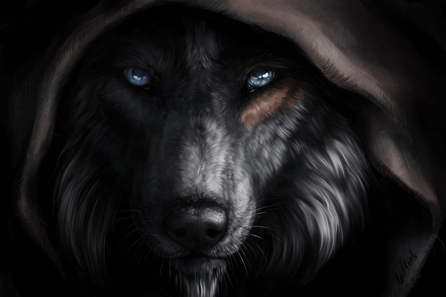 Black Wolf HD Wallpapers Wallpaper Cave