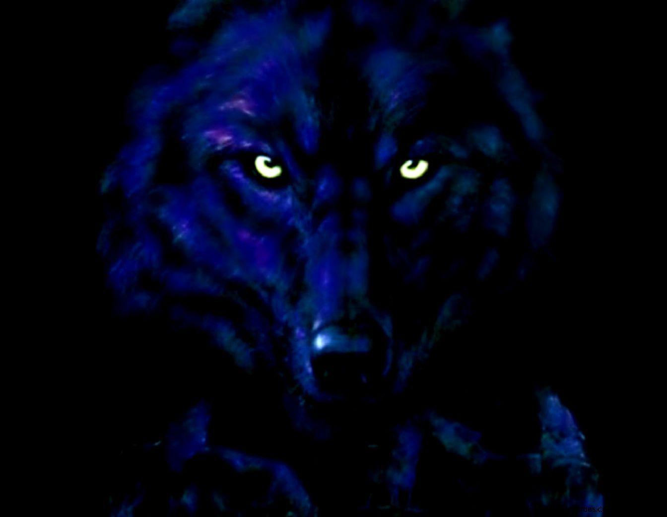 Black Wolf HD Wallpapers Wallpaper Cave
