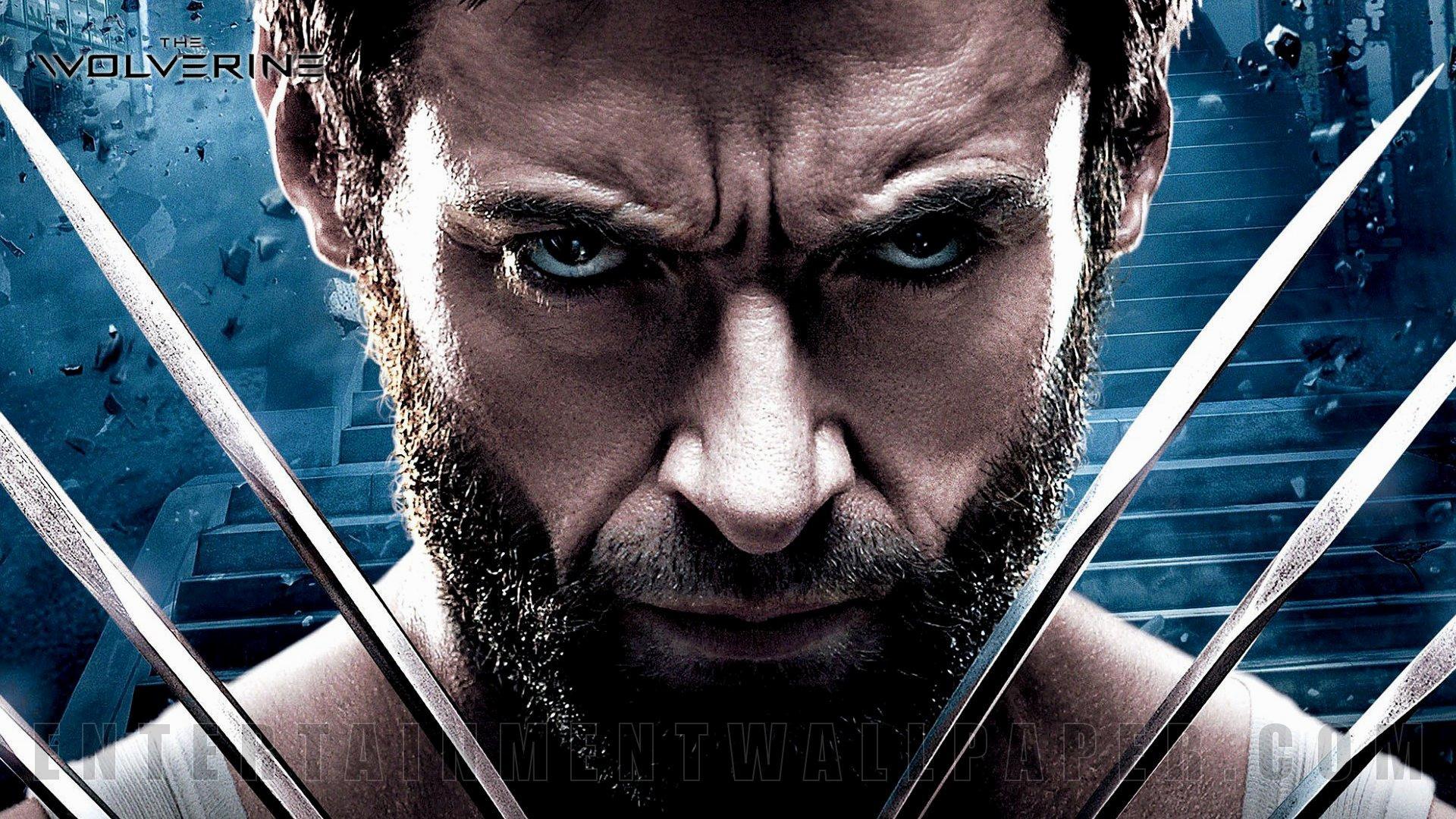 The Wolverine HD Wallpapers Wallpaper Cave