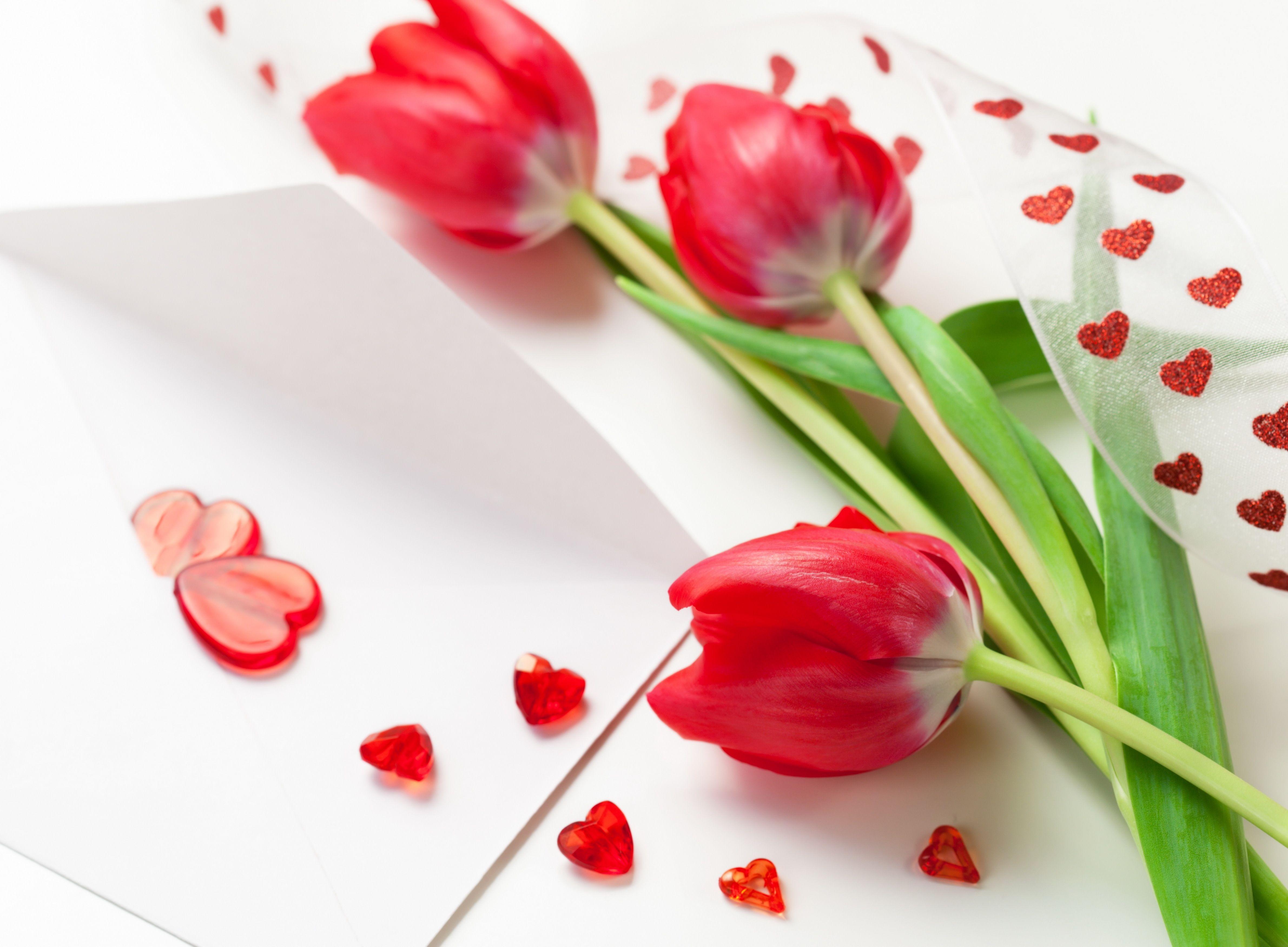 Flower Love Wallpapers Wallpaper Cave