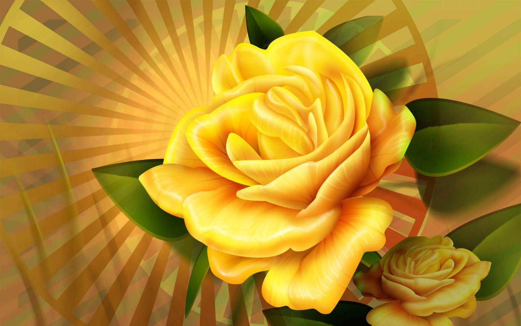 Single Yellow Rose Wallpapers Wallpaper Cave