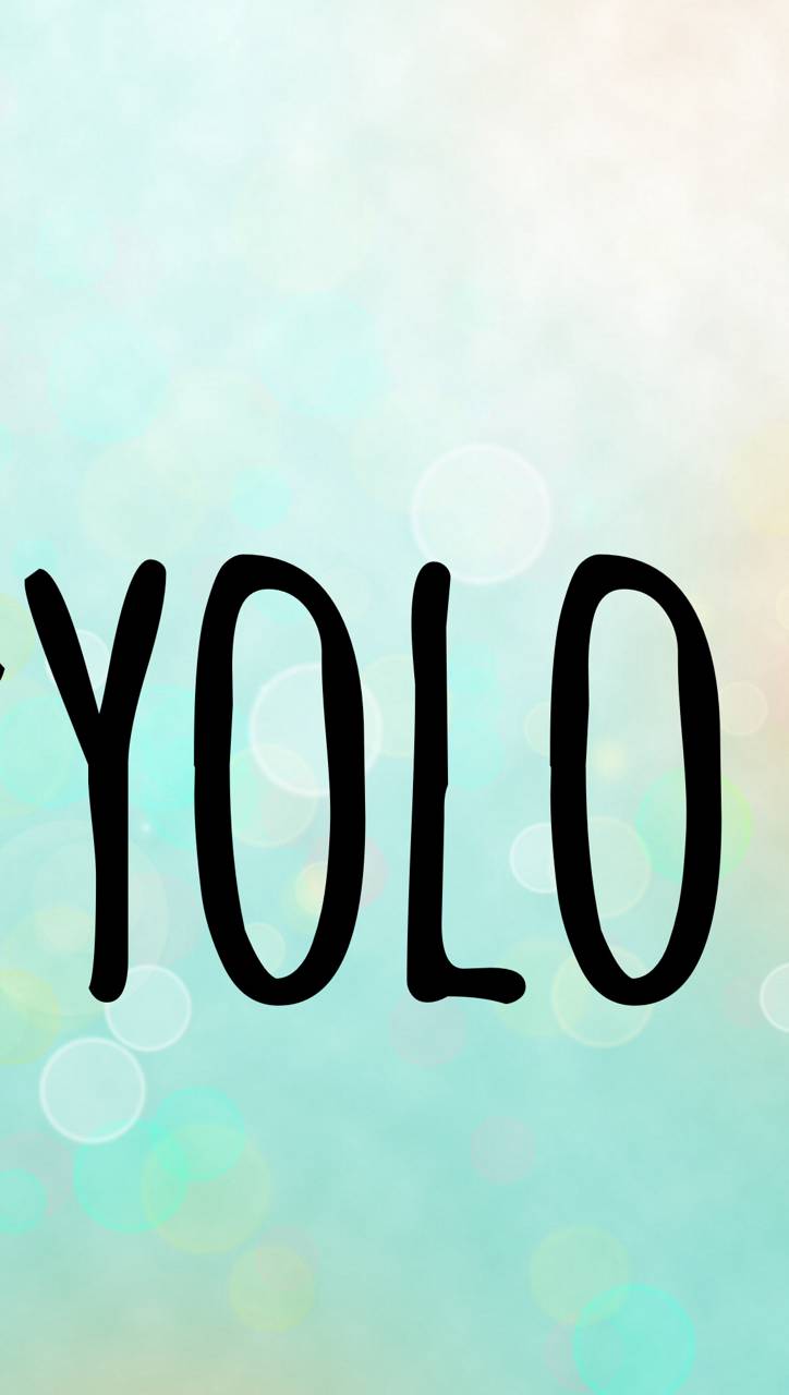 Yolo Wallpapers Wallpaper Cave
