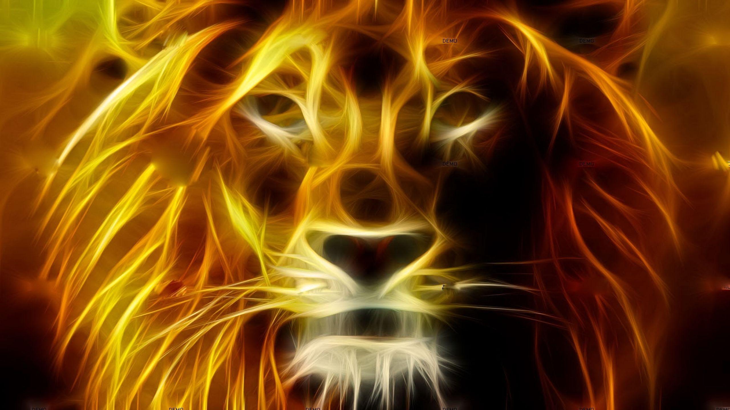 Lion Face HD Wallpapers Wallpaper Cave