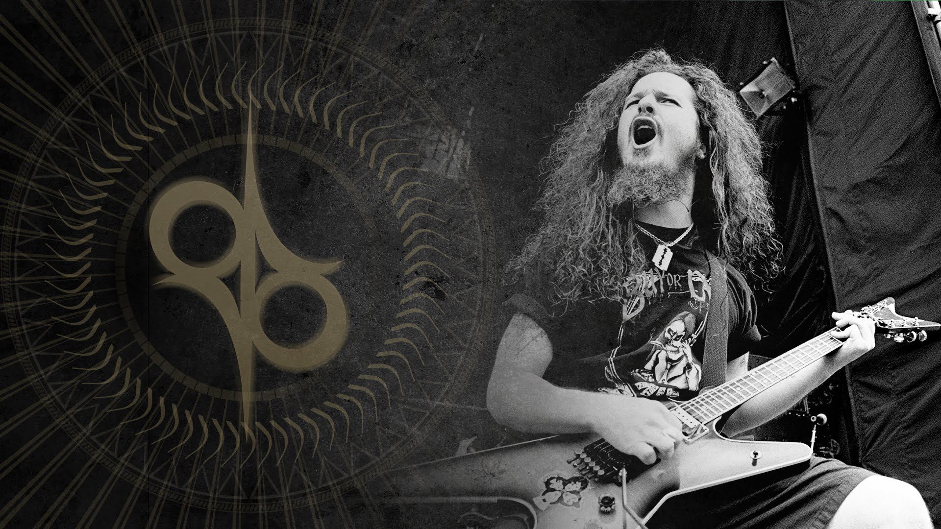 Dimebag Darrel HD Wallpapers Wallpaper Cave