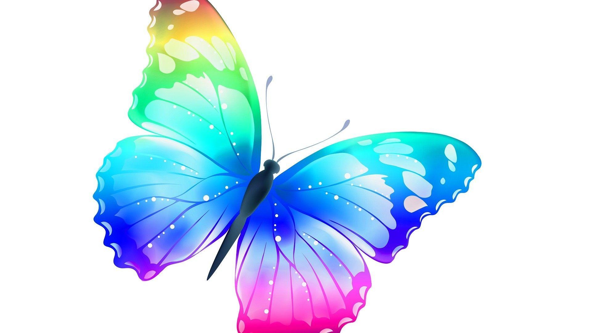 Cute Butterfly Wallpapers Wallpaper Cave