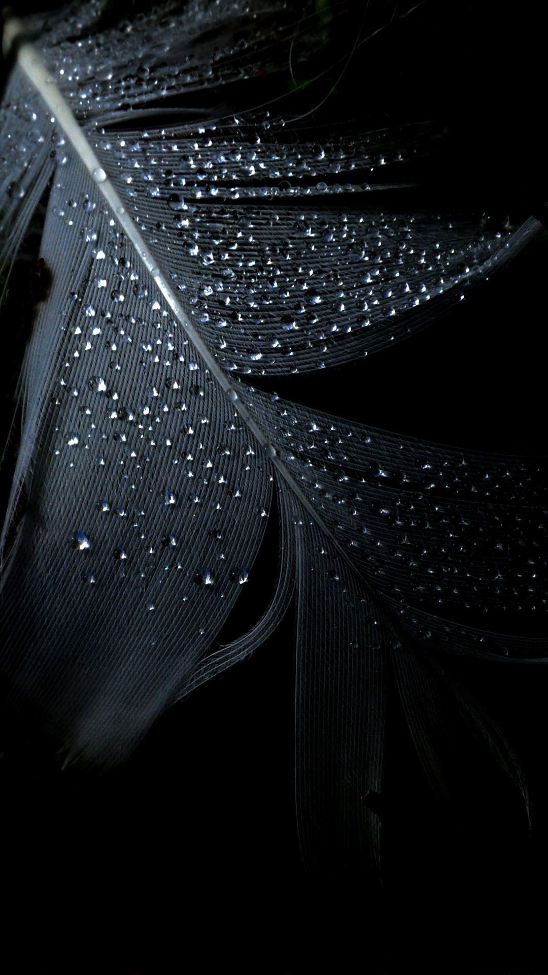 Dark Wallpapers For Android Wallpaper Cave