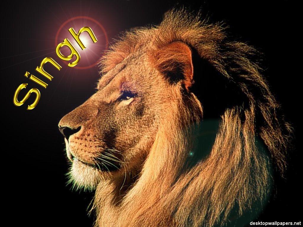 Lion Images Hd Wallpaper Download Arini Gambar