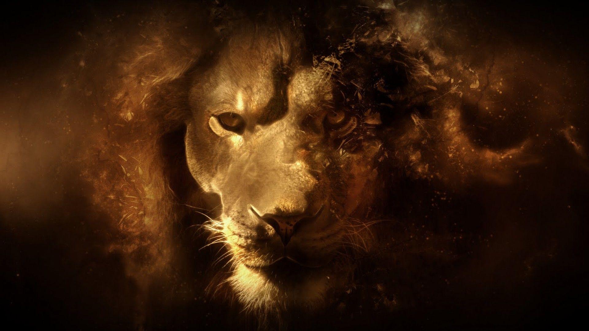 Lion Khalsa HD Wallpapers Wallpaper Cave