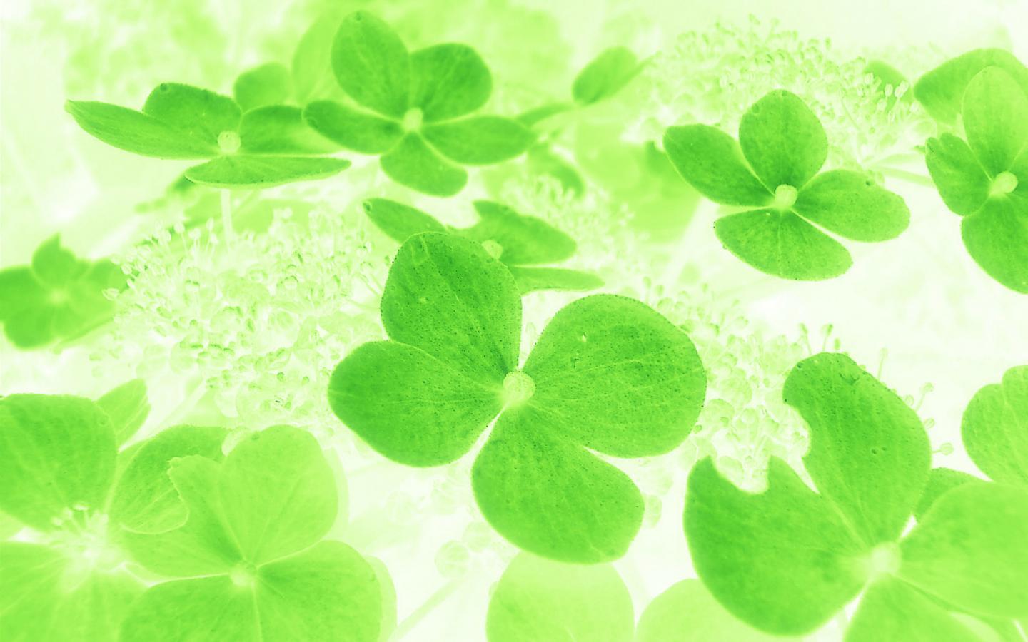 Lucky Wallpapers Wallpaper Cave