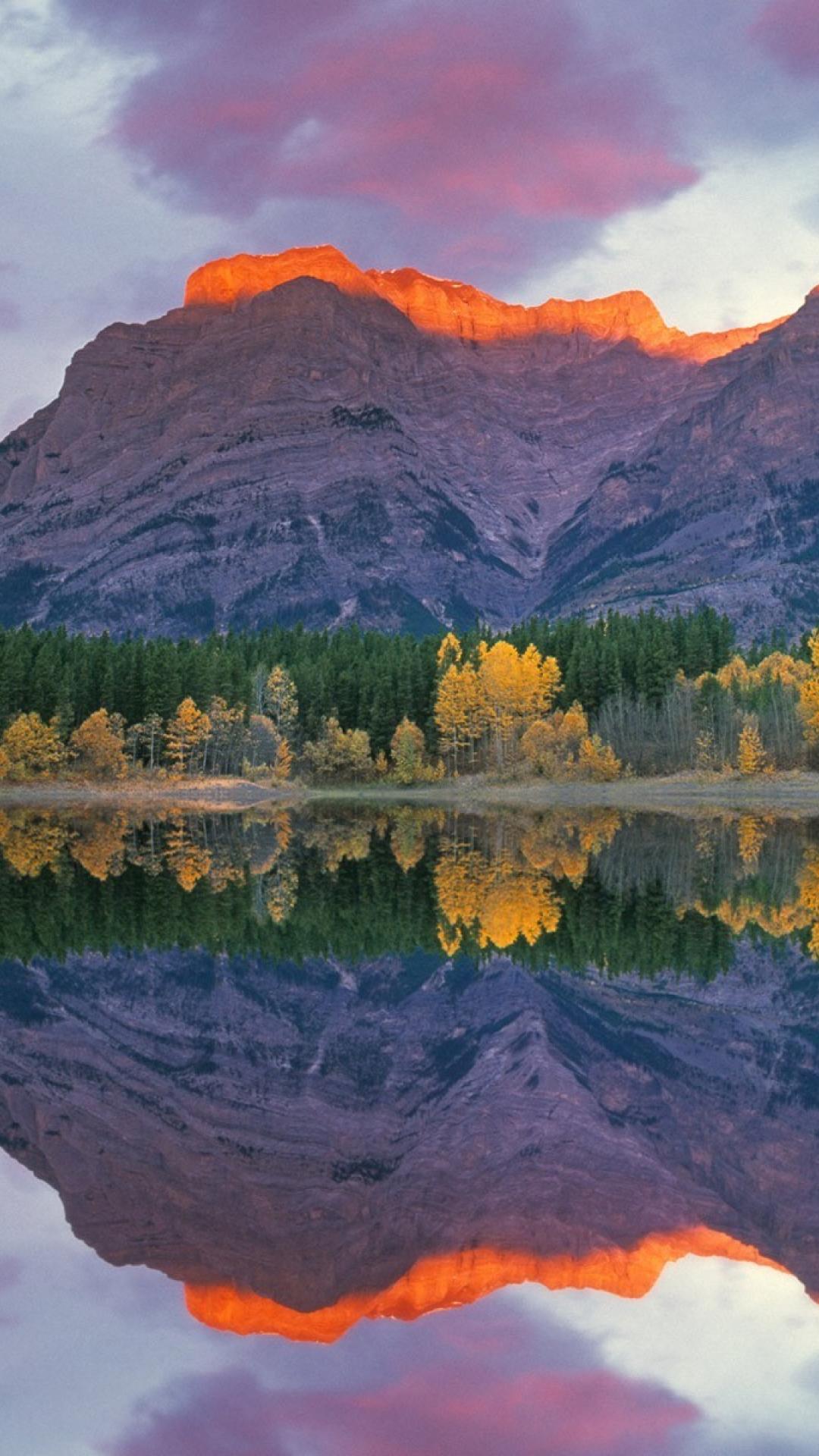 Bing Mobile Wallpapers Wallpaper Cave