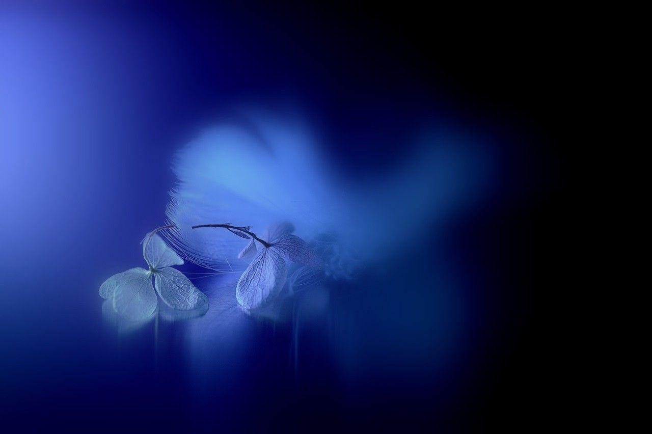 Blue Scenery Wallpapers Wallpaper Cave