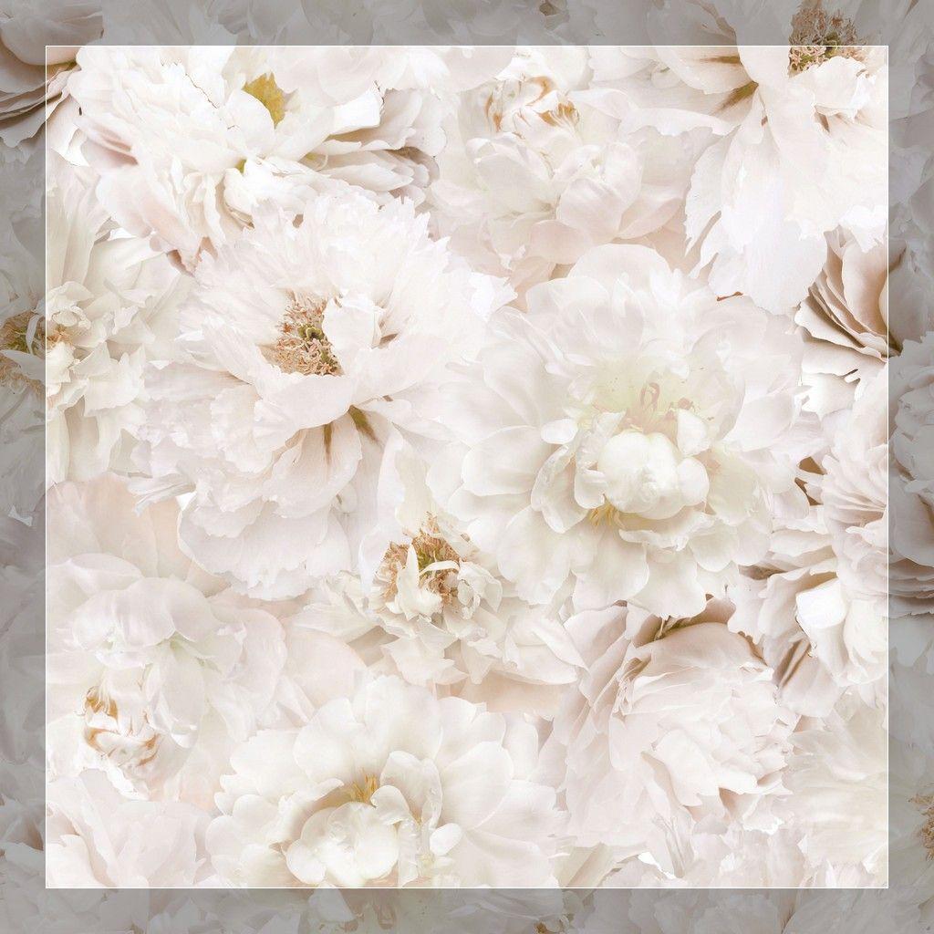 Flower Vintage Wallpapers Tumblr Wallpaper Cave