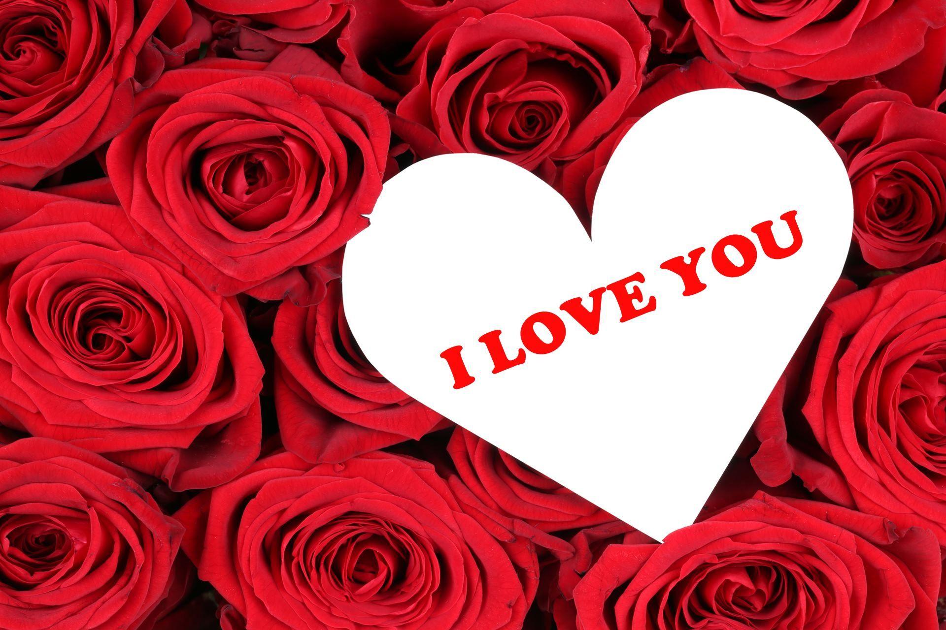 Red Roses Wallpapers Heart Wallpaper Cave