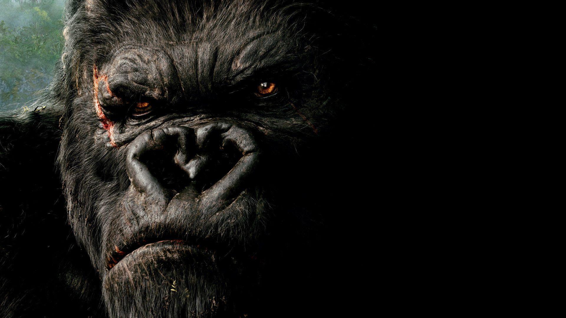 King Kong 2005 HD Wallpapers Wallpaper Cave