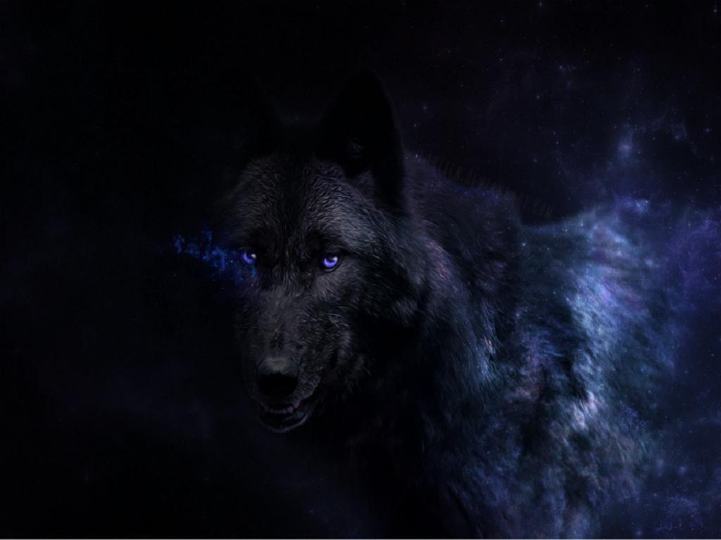 Black Wolf Wallpapers HD Wallpaper Cave