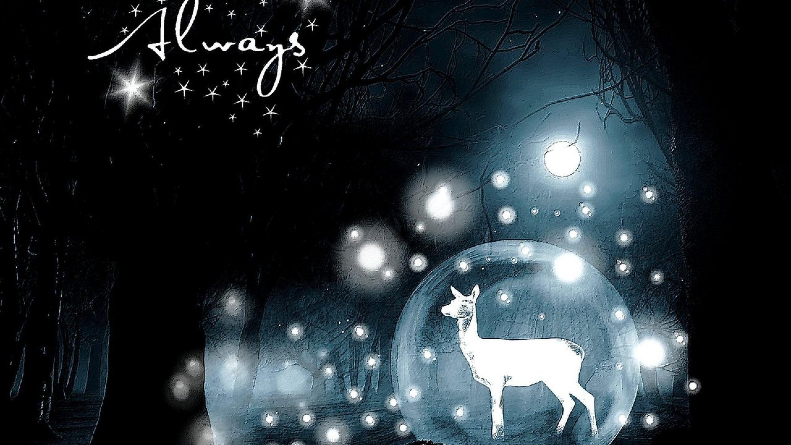 Harry Potter Dobby Wallpapers Wallpaper Cave