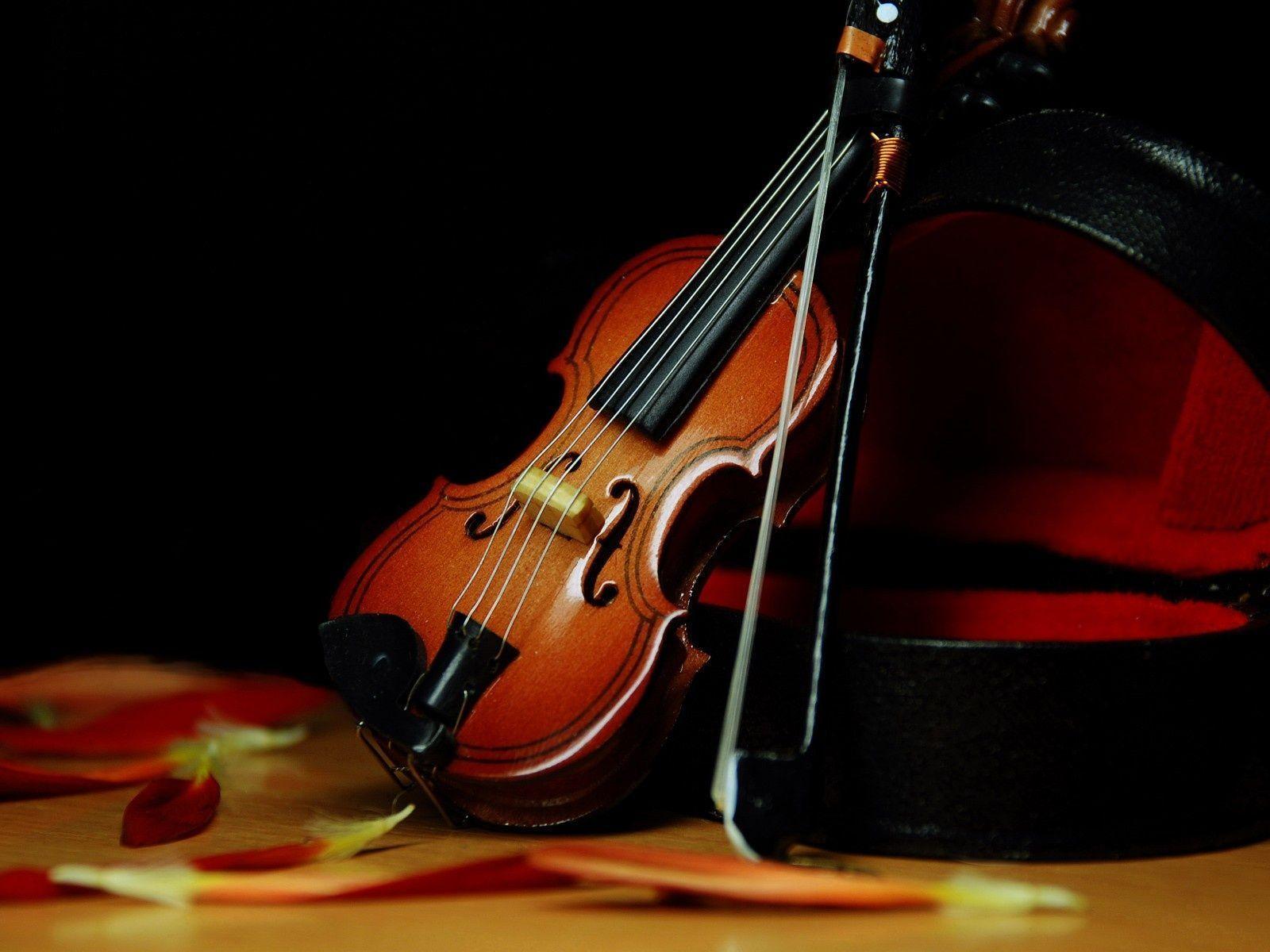 Beautiful Violin Wallpapers Wallpaper Cave