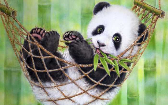 Panda wallpapers hd ultra wallpaper 4k Best bowling ball for left handers