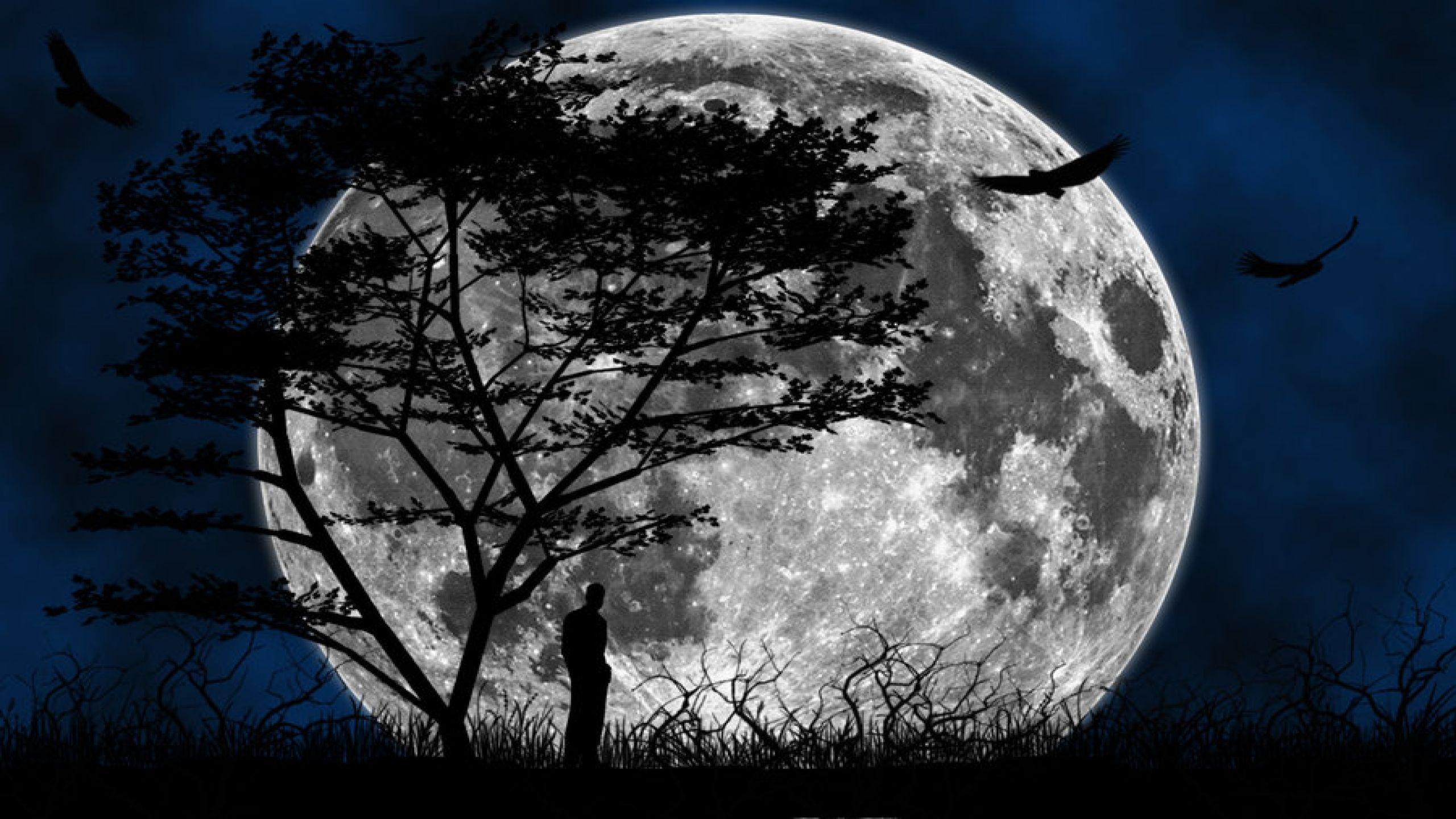 HD Moon Wallpapers Wallpaper Cave