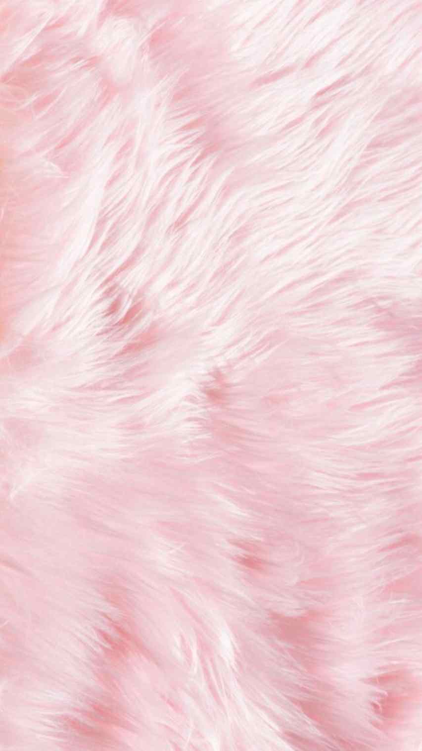 Pink Blanket Wallpapers Wallpaper Cave