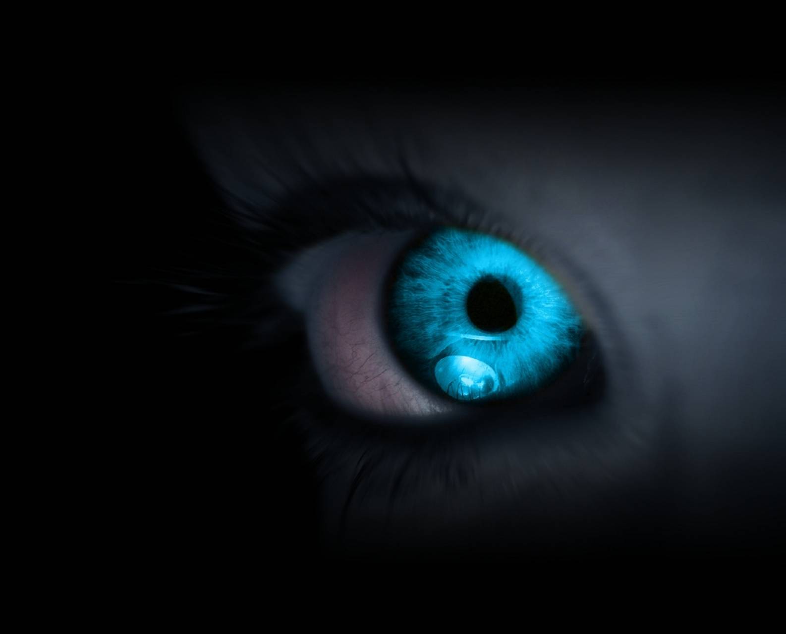 Blue Eyes Wallpapers Wallpaper Cave