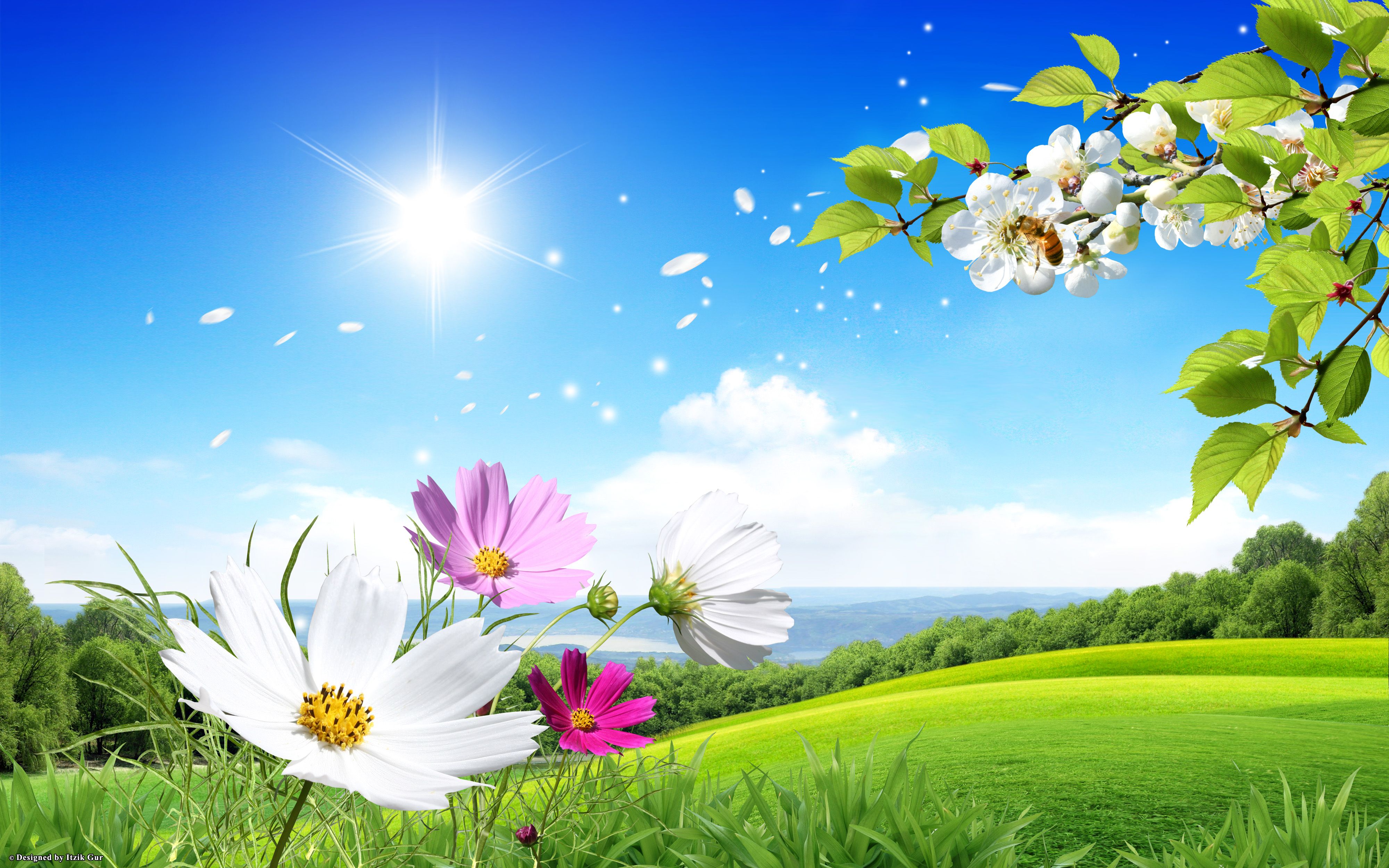 Beautiful Nature Wallpapers For Facebook Cover Page