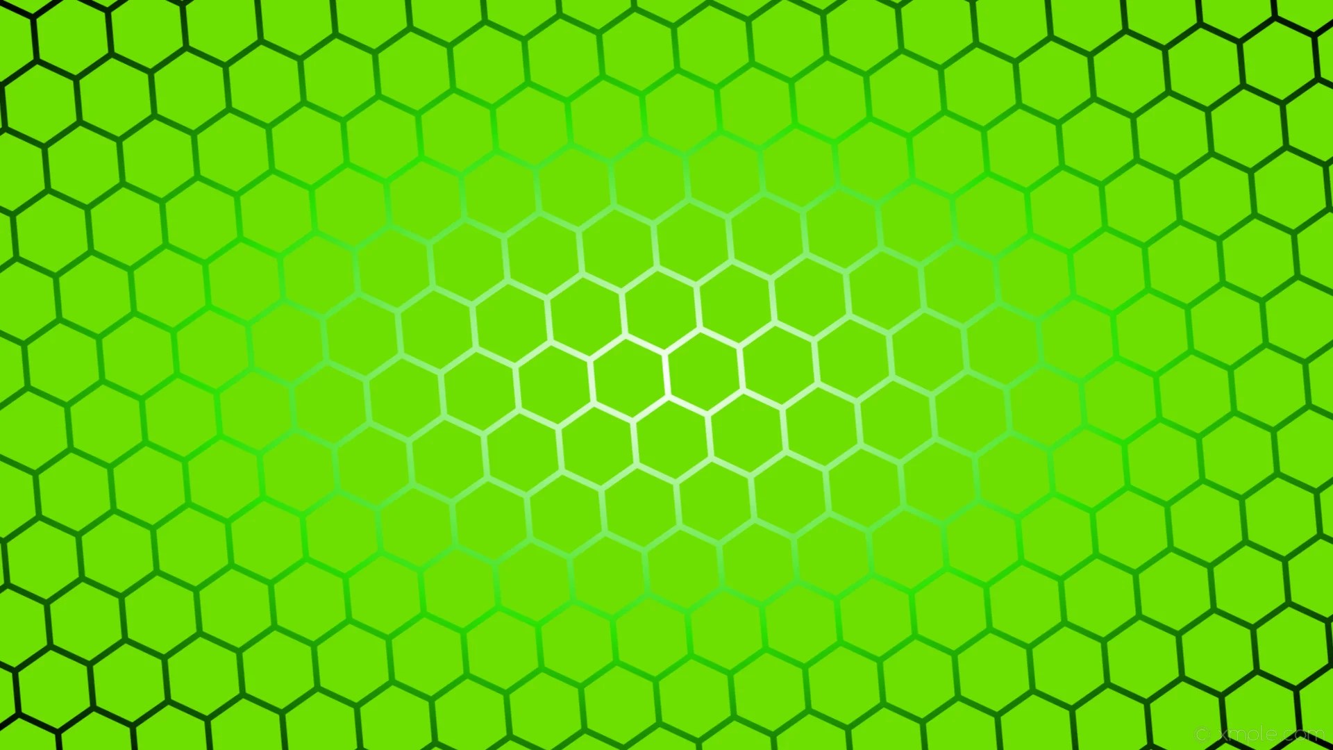 Neon Green Wallpapers HD Wallpaper Cave