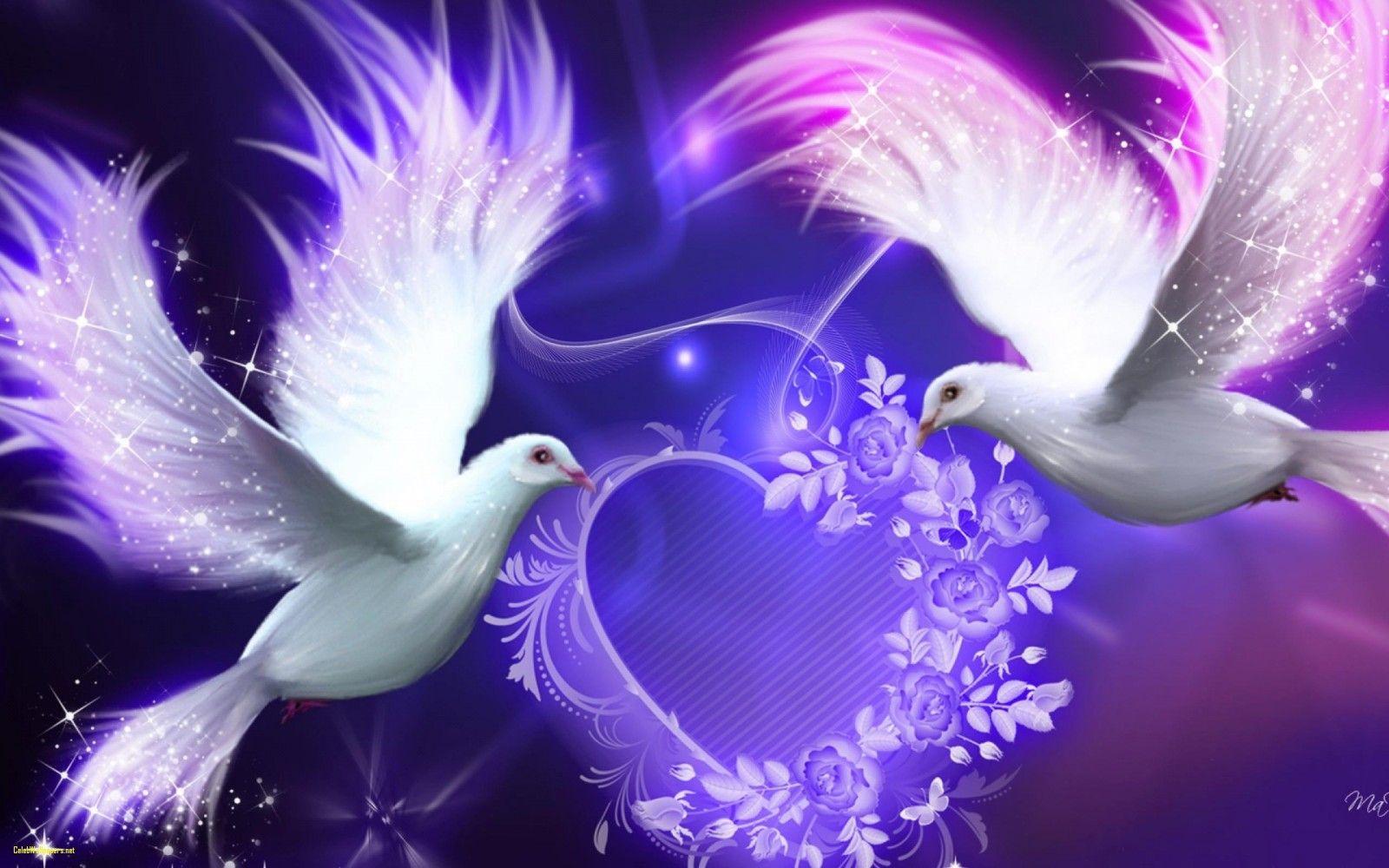 LOVE BIRDS HD WALLPAPERS Wallpaper Cave