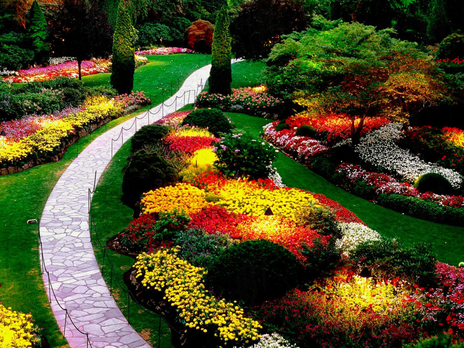 Natural Flower Garden Wallpapers Wallpaper Cave