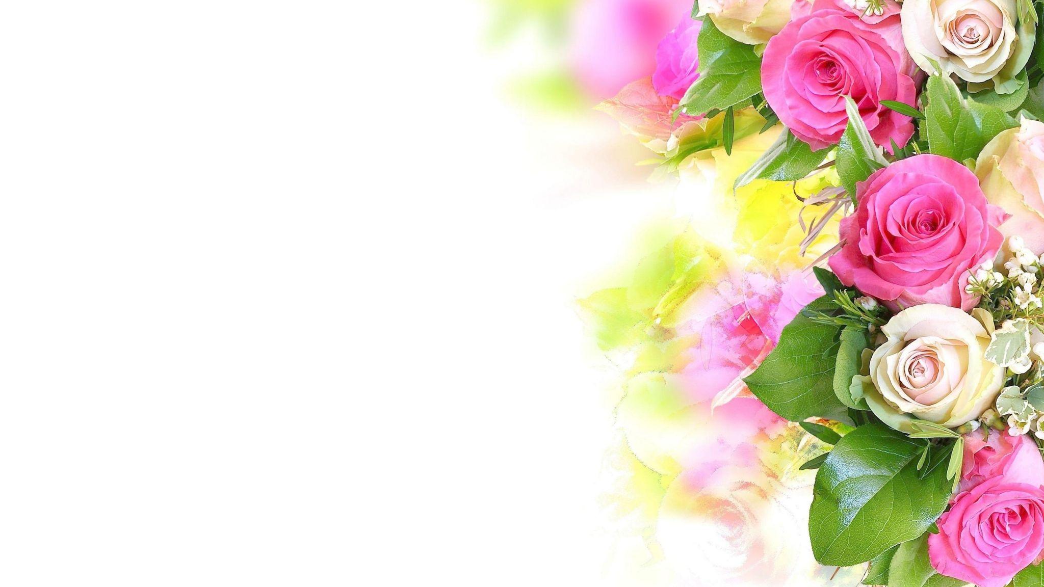 Flower White Backgrounds Wallpaper Cave