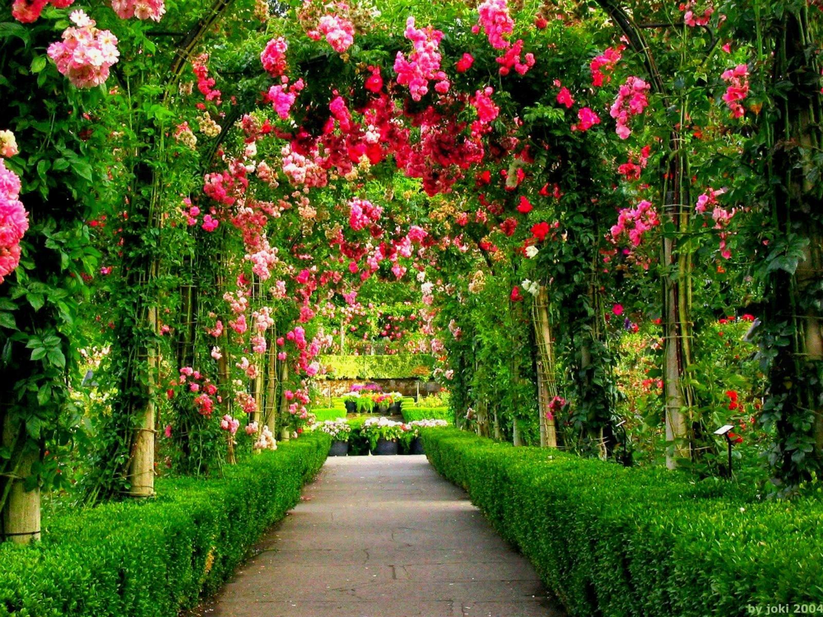 HD Garden Wallpapers Wallpaper Cave