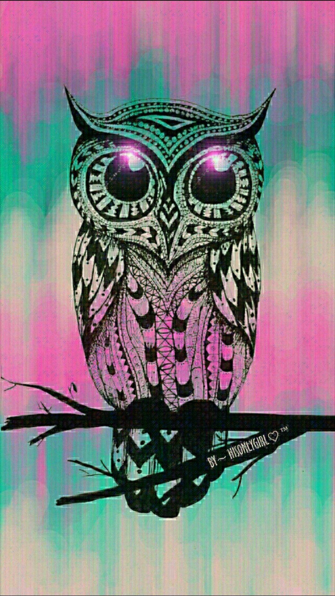 Cute Owl Wallpapers Wallpaper Cave