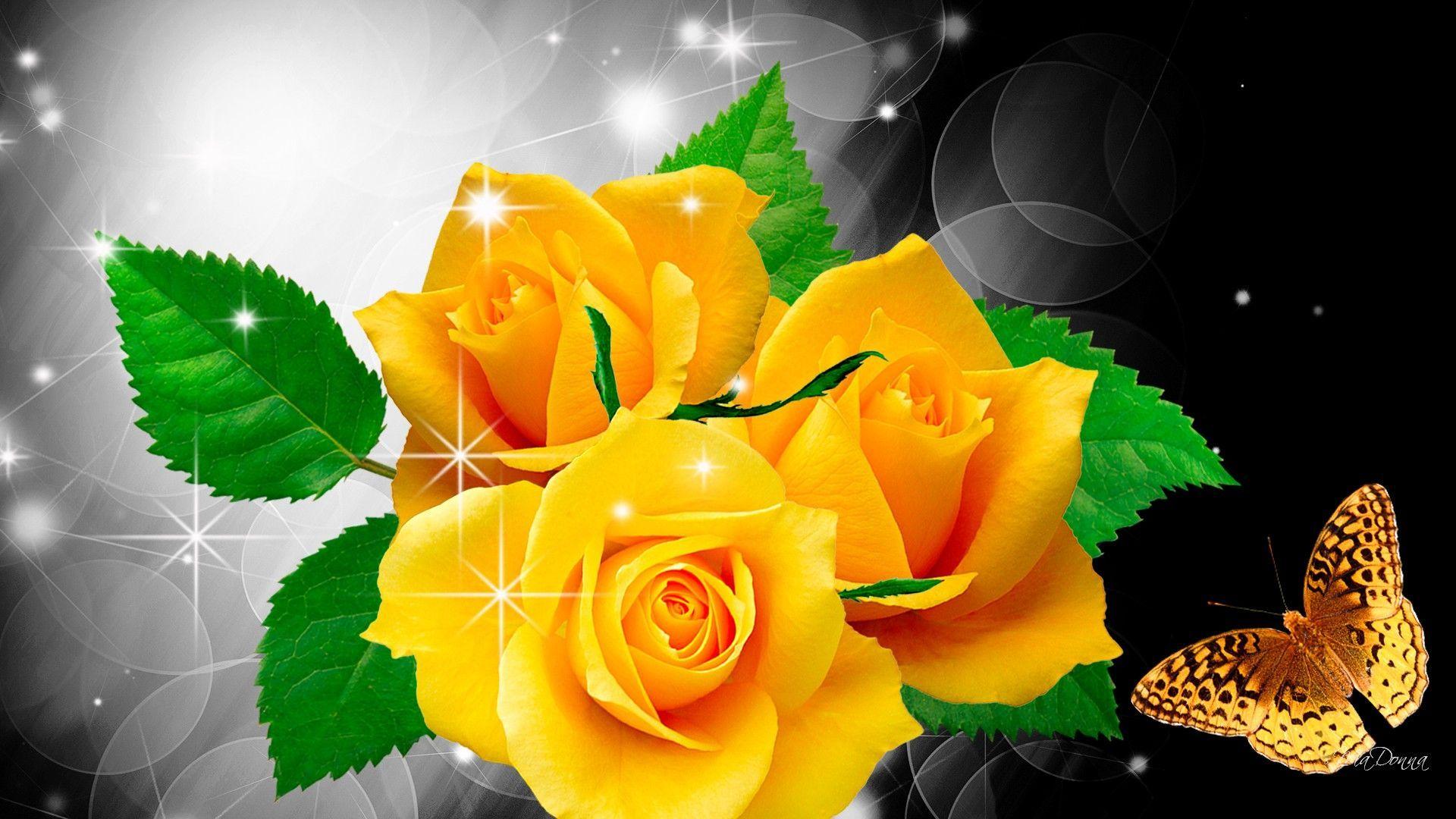 Single Yellow Rose Wallpapers Wallpaper Cave