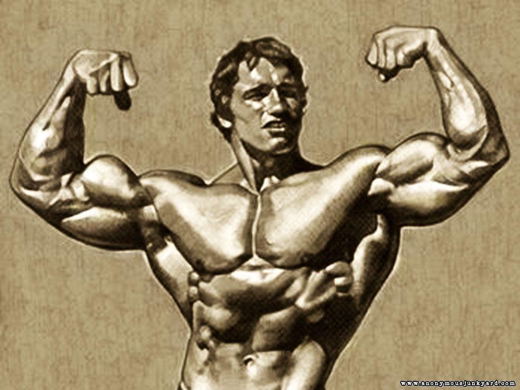 Arnold Bodybuilding Wallpapers Wallpaper Cave
